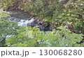 Kinugawa River in the morning: A landscape of nature and a calm, clear stream 130068280