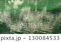 Carp swimming in a crystal clear pond 130084533