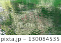 Carp swimming in a crystal clear pond 130084535
