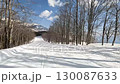 Ski resort, slope, snowboarding, Hakuba Village, Nagano Prefecture 130087633