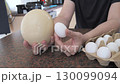 Visual comparison of ostrich egg and chicken egg in human hands 130099094