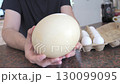 Hands holding a large ostrich egg with chicken eggs in carton nearby 130099095