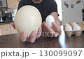 Visual comparison of ostrich egg and chicken egg in human hands 130099097
