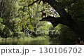 Jumping in the river from a tree platform, slow motion 130106702