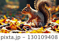どんぐりを持つリスの秋のループ動画 130109408