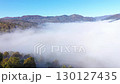 Aerial top down view of autumn misty forest canopy  130127435