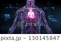 Advanced Human Body Scan with Heart Highlight Cardiac Diagnostics and Medical Technology. High quality illustration 130145847