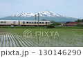 羽越本線 砂越-東酒田/鳥海山を背景に水田地帯を走るGV-E400系上り普通列車 鳥海山サイド固定 130146290