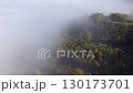 Aerial view of morning fog above colorful autumn forest canopy 130173701