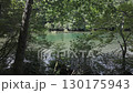 奧日光湯之湖的夏季風景 130175943