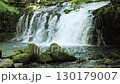 山の伏流水が流れを作り、滝となり、天然の冷水が涼を誘う  |  蓼科大滝 長野 130179007