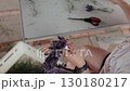 Skilled florist carefully crafting lavender crown on pristine white surface, meticulously arranging delicate purple bunches and securing with thin wire. Skilled florist creating lavender crown 130180217