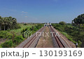 A train track surrounded by palm trees and ponds, with an overpass in the distance, on a clear day. 130193169