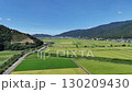 Drone aerial photography of summer sky and rice fields in Wakasa Town, Toyama Prefecture 130209430