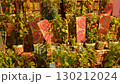風鈴和酸漿果在風中搖曳 130212024
