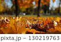 Detail view on brown maple leaves falling to ground in autumn park at sunset. Bright foliage covered lawn at parkland. Beautiful colorful fall season. Slow motion 130219763