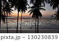 Aerial view drone flying through coconut palm trees to the sea, Laem Had beach, Koh Yao Yai, Thailand  130230839