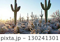 Snow-covered desert area 130241301