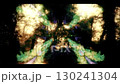 Fantasy world 130241304