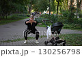 An Engaged Active Parent Exercising with Their Stroller in the Beautiful Park Setting 130256798