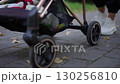 Enjoying a peaceful stroll with a stroller on a beautifully paved path surrounded by nature 130256810