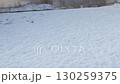 雪が一面に積もった河口湖北岸から見た富士山 130259375