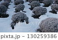 雪景色が美しい河口湖・大石公園から見た富士山 130259386