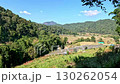 Handheld walking POV showing the terraced rice paddy among the green mountains in Ban Pa Pong Piang village in Chiang mai, Thailand 130262054
