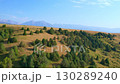 Kazakh steppes with scattered trees and majestic Tian Shan mountains in the background 130289240