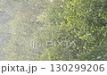 Heavy snowfall over lush green trees creating a serene winter landscape background video 130299206