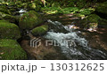 A waterfall leading to the Kikuchi Gorge with a clear stream flowing through nature 130312625