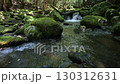 A waterfall leading to the Kikuchi Gorge with a clear stream flowing through nature 130312631
