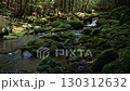 A waterfall leading to the Kikuchi Gorge with a clear stream flowing through nature 130312632