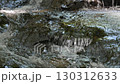 A waterfall leading to the Kikuchi Gorge with a clear stream flowing through nature 130312633