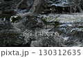 A waterfall leading to the Kikuchi Gorge with a clear stream flowing through nature 130312635