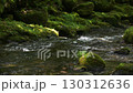 A waterfall leading to the Kikuchi Gorge with a clear stream flowing through nature 130312636