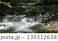 A waterfall leading to the Kikuchi Gorge with a clear stream flowing through nature 130312638