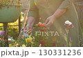 Golden hour sunlight illuminates a woman tending her garden, delicately touching flowers petals from bloom vibrant arrangement. Hobbies of elderly. Gardening and yard maintenance 130331236