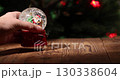 Celebrate Christmas and New Year With a Hand Placing a Snow Globe Near a Beautiful Tree 130338604