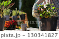 Young woman gardener does spring pruning of plants in the backyard of a house. Gardening floriculture horticulture farming concept. 130341827