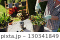 Close up woman is carefully pruning plants in her garden, tending to the greenery with precision. Home gardening. Hobbies and leisure concept. 130341849