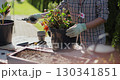 Young woman gardener does spring pruning of plants in the backyard of a house. Gardening floriculture horticulture farming concept. 130341851