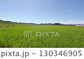 Blue sky 130346905