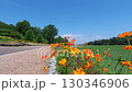 Blue sky 130346906