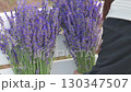 Harvested lavender bunches 130347507