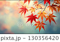 Autumn leaves and sparkling video 130356420