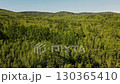 Exploring a lush green forest landscape in the heart of nature 130365410