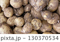 Fresh organic potatoes covered in soil, ideal for autumn harvest background video 130370534