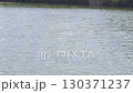 Japanese river scenery 130371237