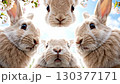 Four adorable rabbits are gathered under blooming cherry trees in a serene garden. They display curious expressions while surrounded by vibrant flowers and clear blue skies 130377171